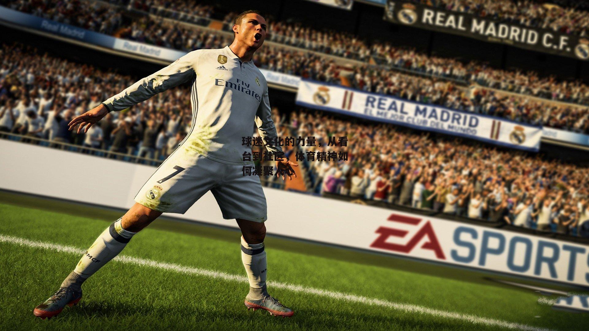 球迷文化的力量,从看台到社区,体育精神如何凝聚人心