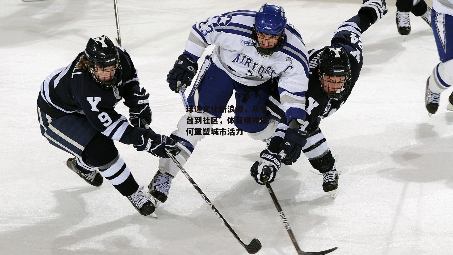 球迷文化新浪潮,从看台到社区,体育精神如何重塑城市活力