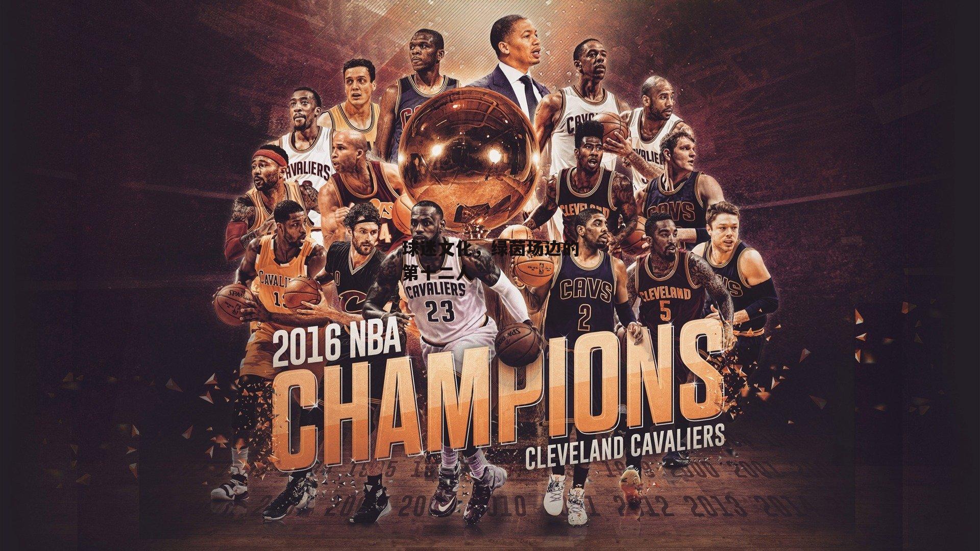 球迷文化,绿茵场边的第十二人