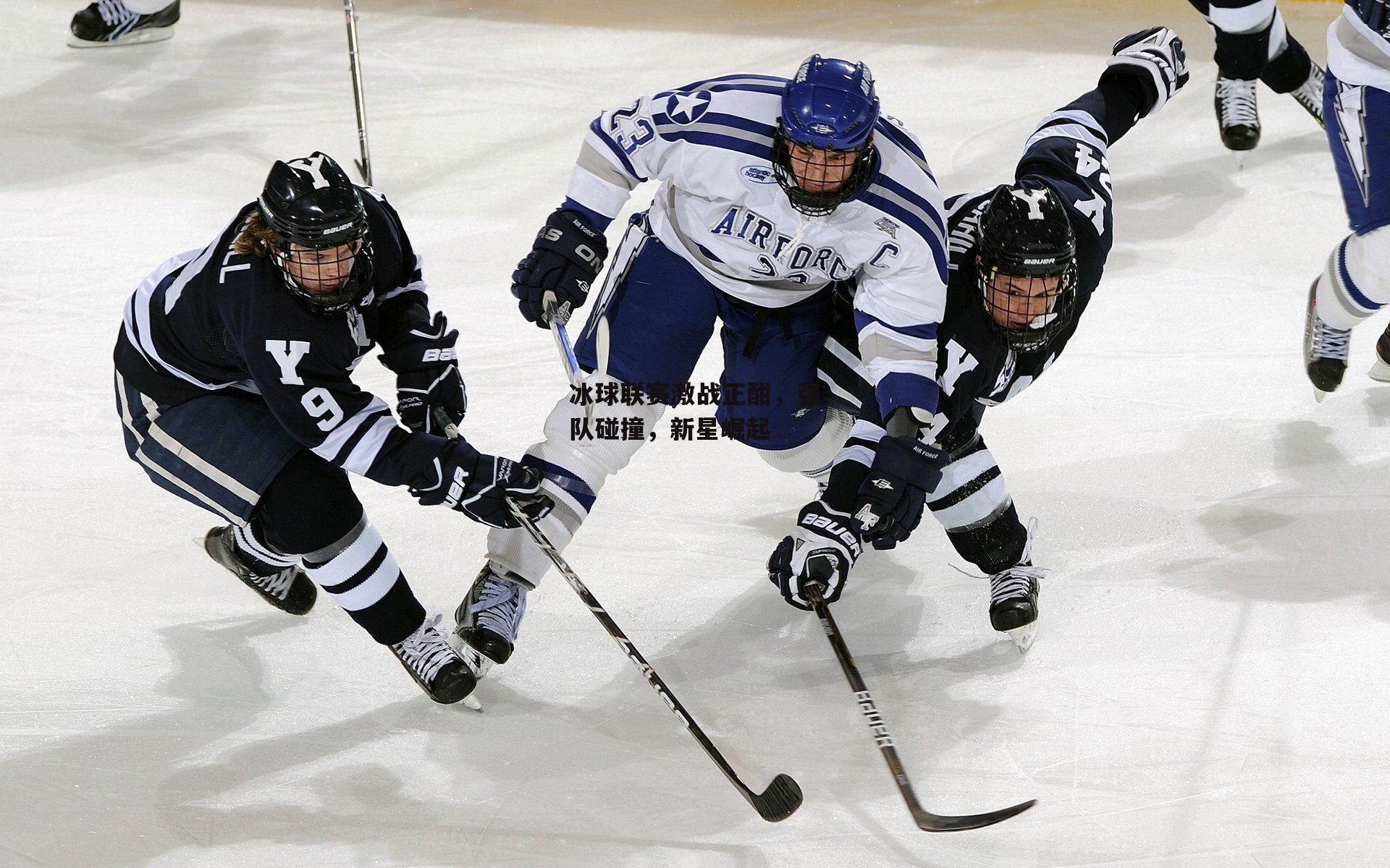 冰球联赛激战正酣,强队碰撞,新星崛起